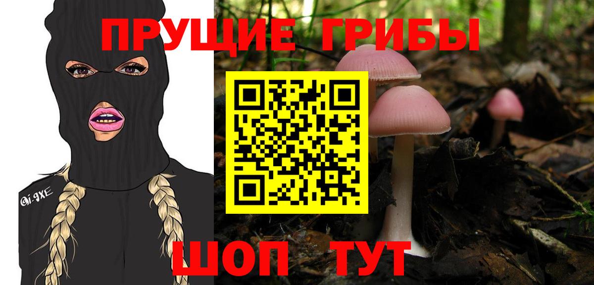 Лянтор  Псилоцибиновые грибы GOLDEN TEACHER  где можно купить   Вход с VPN 