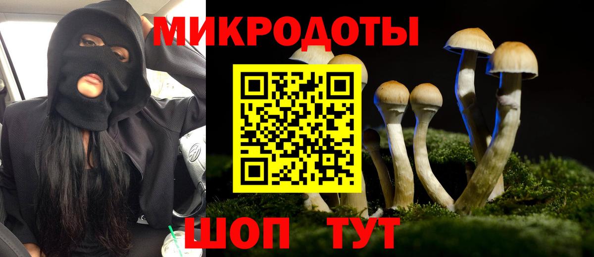 Псилоцибиновые грибы мицелий Лянтор